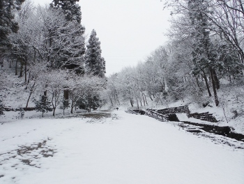 可児やすらぎの森イメージ4（雪の日）